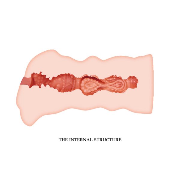 3 Boyutlu Suni Vajina Damarlı Titreşimli Mastürbatör 