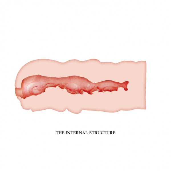 	Vajina Damarlı Mastürbatör 3 Boyutlu