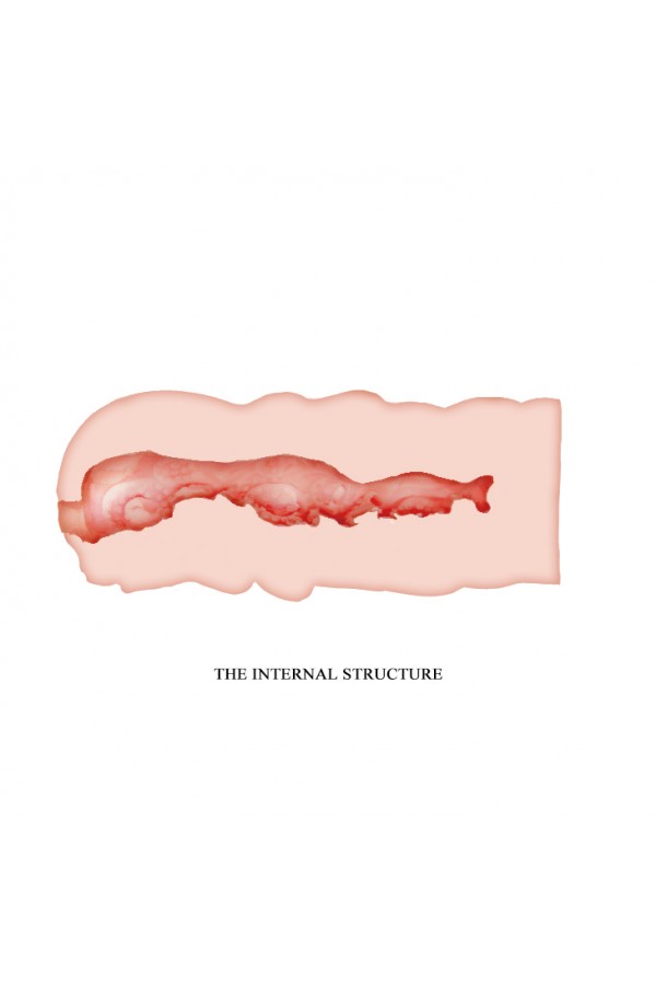 	Vajina Damarlı Mastürbatör 3 Boyutlu